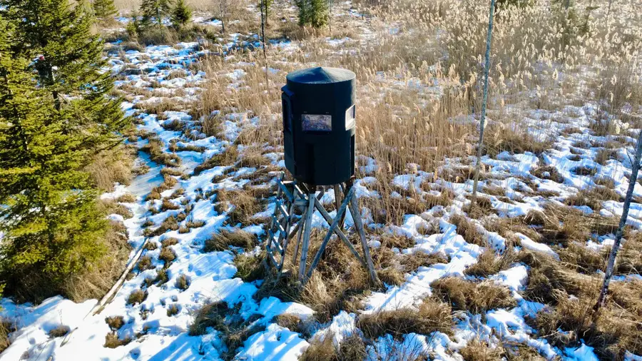 W4424 Birch Creek Road, Menominee, MI 49858 - #3