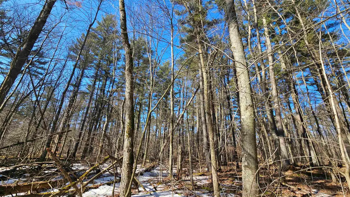 W2319 Medicine Hat Trail #67, Keshena, WI 54135 - #1