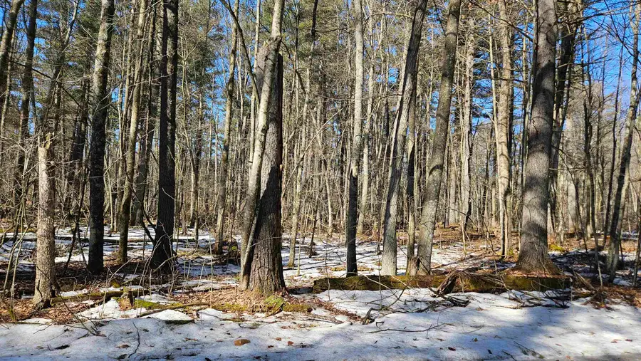 W2319 Medicine Hat Trail #67, Keshena, WI 54135 - #3