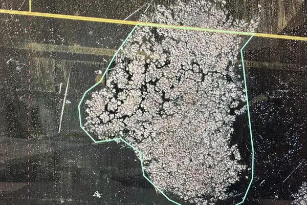 Island Drive, IOLA, WI 54945