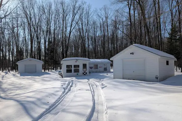 N9664 Ison Lane, PICKEREL, WI 54465