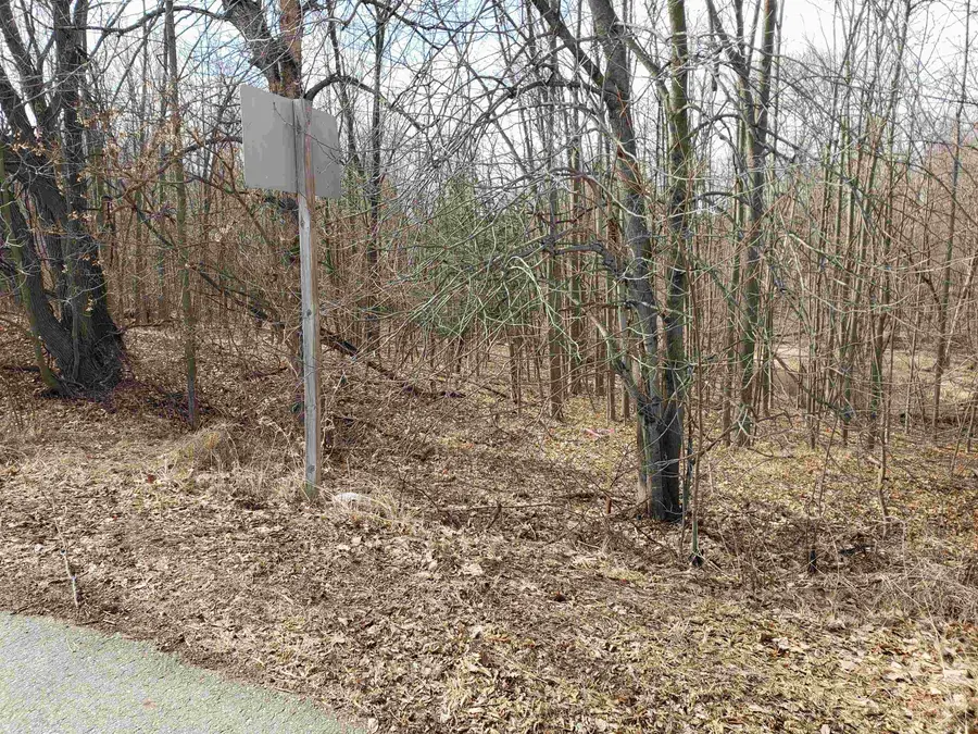 Bialozynski Road #1, Pulaski, WI 54162 - #2