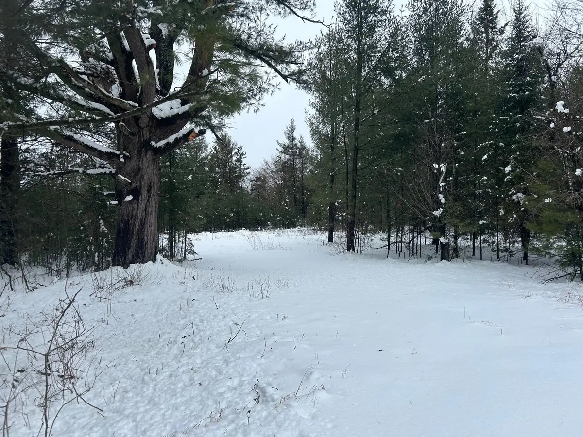 606 E Brook Street, Suring, WI 54174 - #1