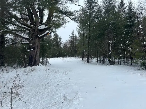 606 E Brook Street, SURING, WI 54174