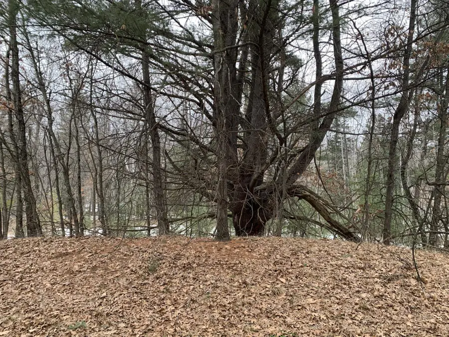 Airport Road, Crivitz, WI 54114-7455 - #2