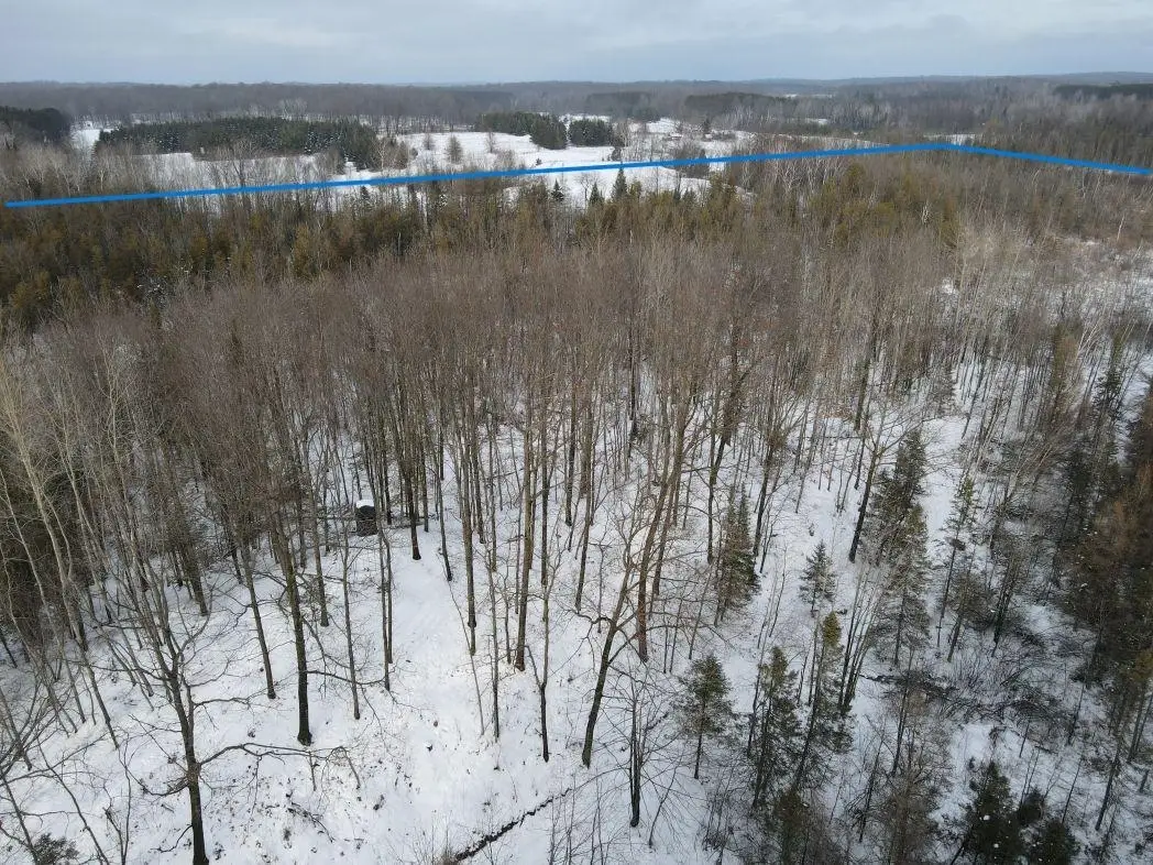 Eland Road #1, Wittenberg, WI 54499 - #1