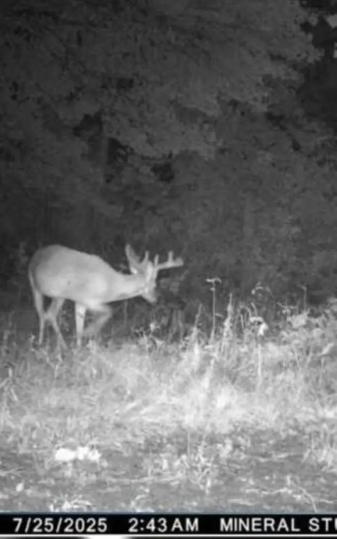 Eland Road #1, Wittenberg, WI 54499 - #2