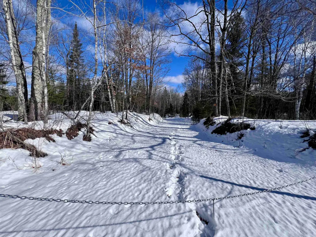 Nejedlo Road, Wausaukee, WI 54177 - #1