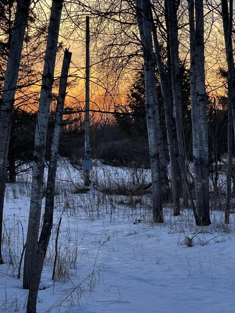 4424 N Creek Lane, Lena, WI 54139 - #2