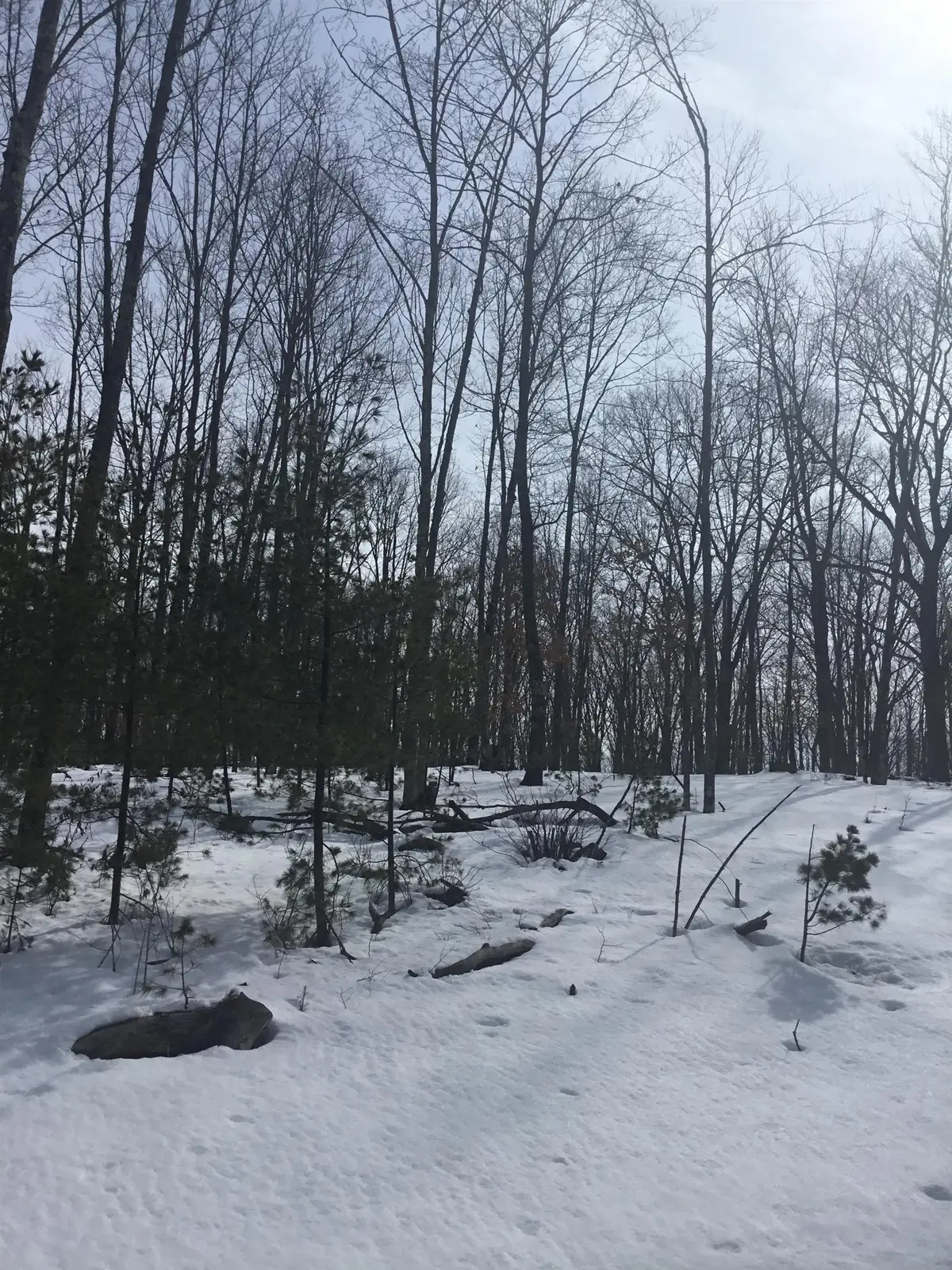 N11266 Rhett Lane #7, Wausaukee, WI 54177 - #1