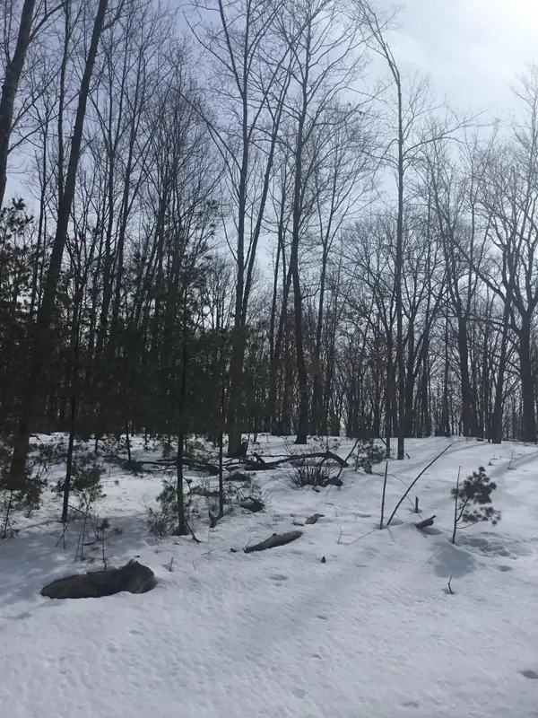 N11266 Rhett Lane #7, WAUSAUKEE, WI 54177