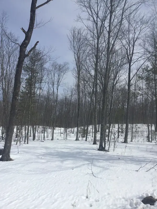 Rhett Lane #10, WAUSAUKEE, WI 54177