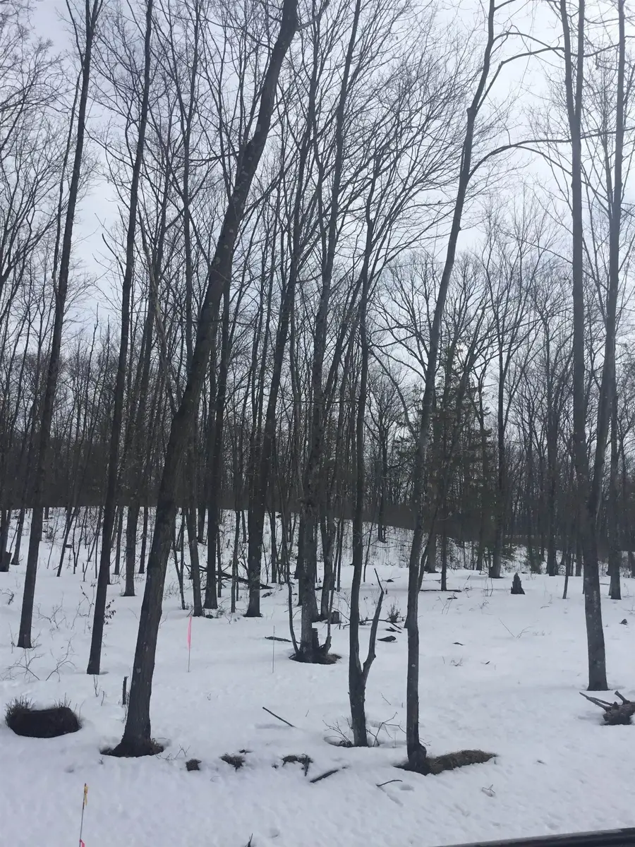 Rhett Lane #10, Wausaukee, WI 54177 - #3