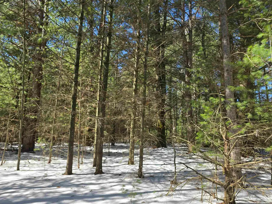 Buttercup Drive, Wautoma, WI 54982 - #3