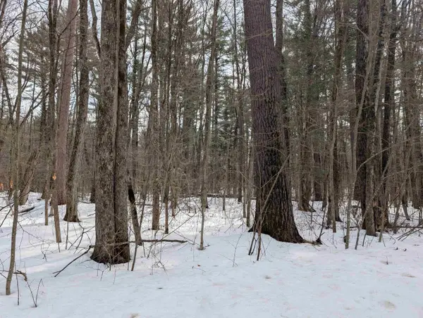 1114 N Grey Eagle Trail, KESHENA, WI 54135