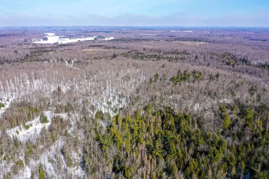 Emil Drive, Rib Lake, WI 54470 - #3