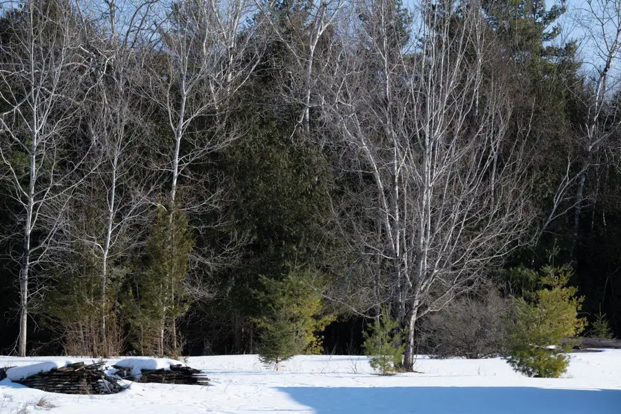 County Rd F #31, Fish Creek, WI 54212 - #3