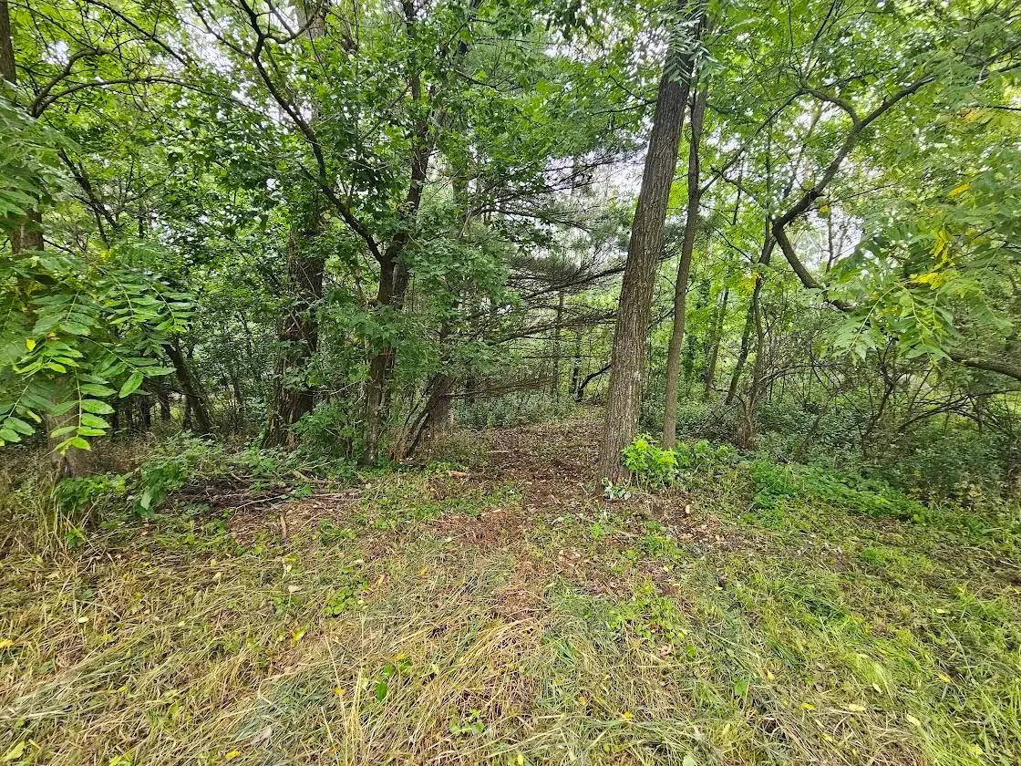 High Road #40, Wild Rose, WI 54984 - #1