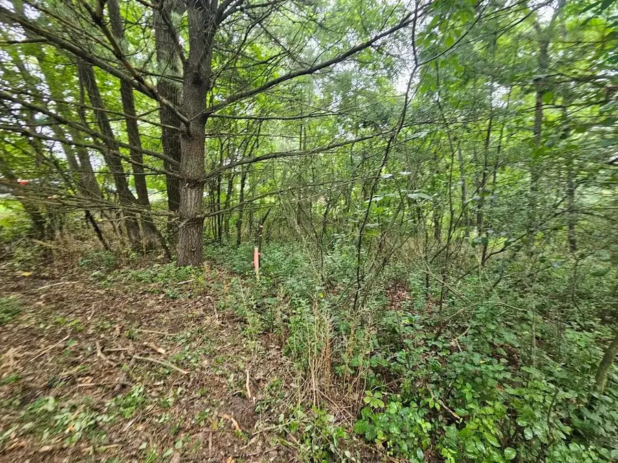 High Road #40, Wild Rose, WI 54984 - #3