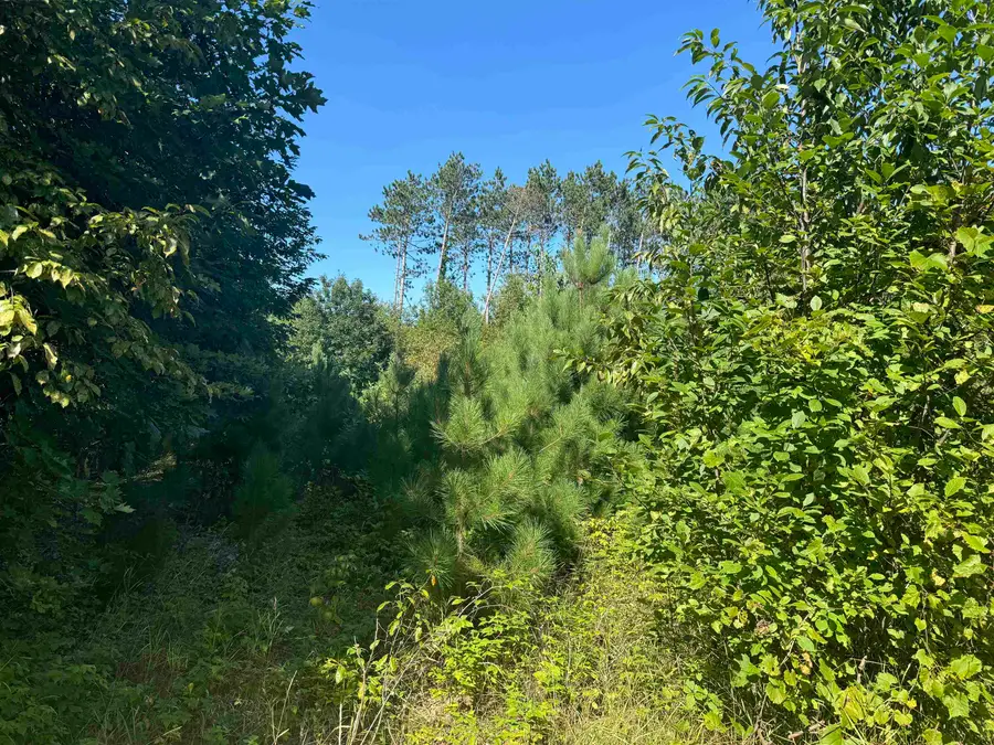 Lake Drive #35/36, Gresham, WI 54128 - #3