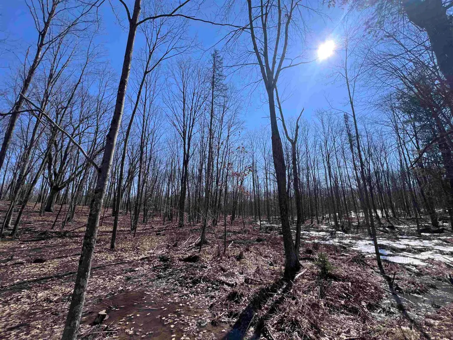 Rhett Lane #18, Wausaukee, WI 54177 - #2