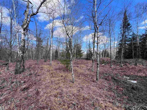 Nejedlo Road #3, WAUSAUKEE, WI 54177