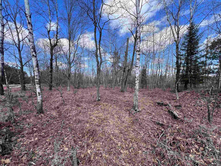 Nejedlo Road #3, Wausaukee, WI 54177 - #2