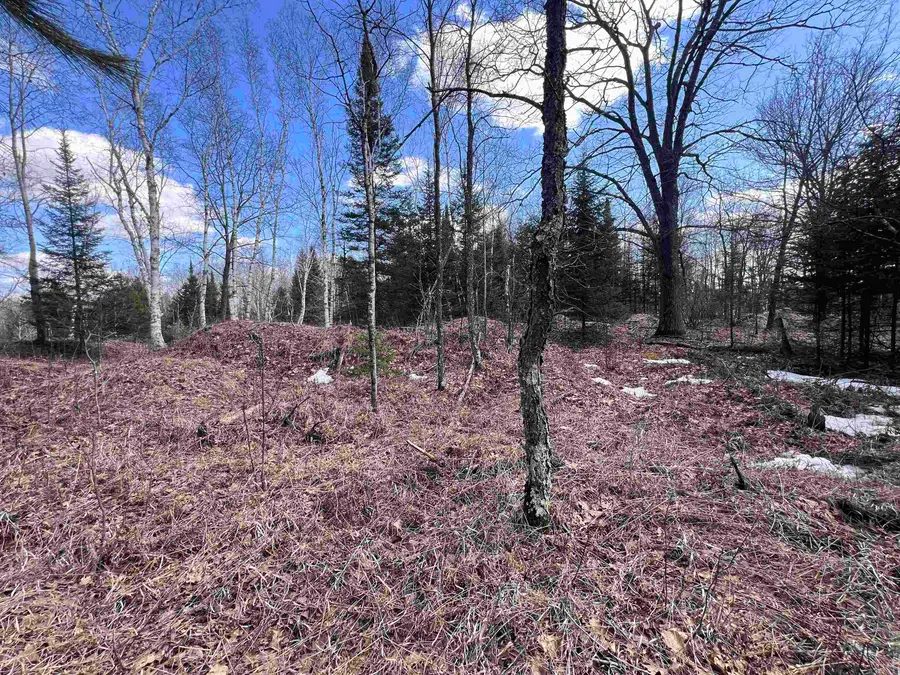 Nejedlo Road #3, Wausaukee, WI 54177 - #3