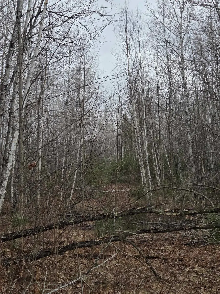 County Road K, Amberg, WI 54102 - #3