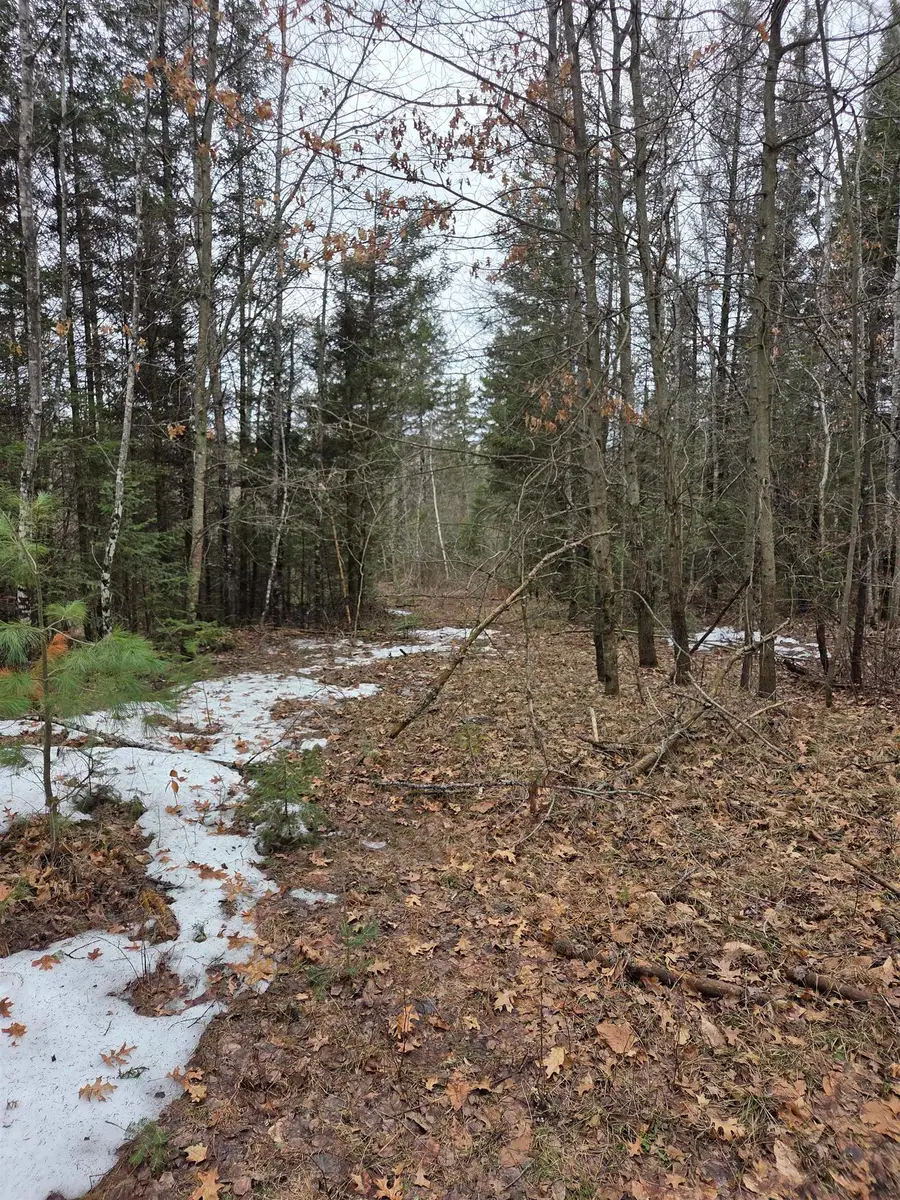 County Road K, Amberg, WI 54102 - #2