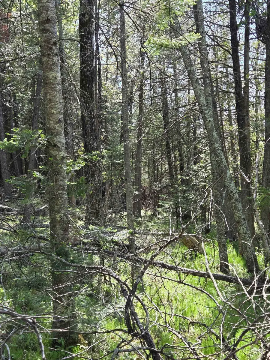 County Road G, Porterfield, WI 54159 - #3