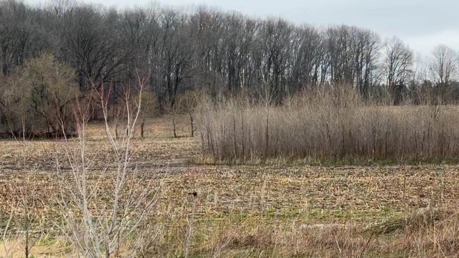 Us 45 Highway, Fremont, WI 54940 - #2