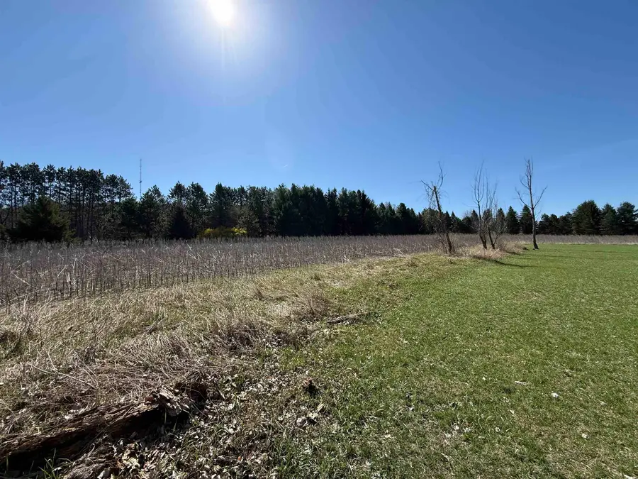 W11453 Mill Creek Road, Gresham, WI 54128 - #3