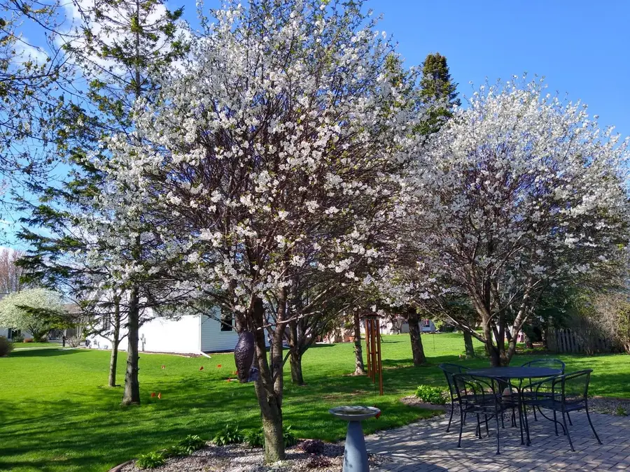 4715 Periwinkle Court, Appleton, WI 54914 - #3