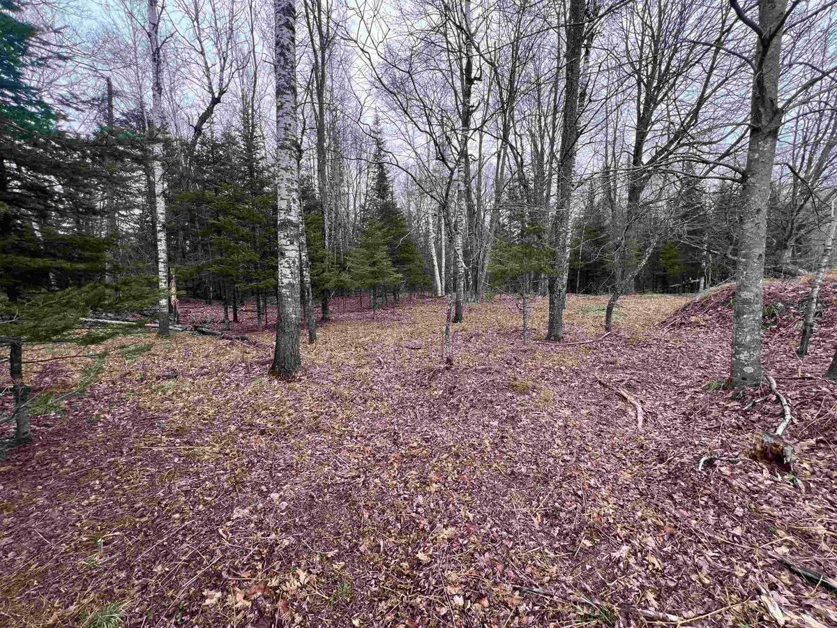Nejedlo Road #6, Wausaukee, WI 54177 - #1