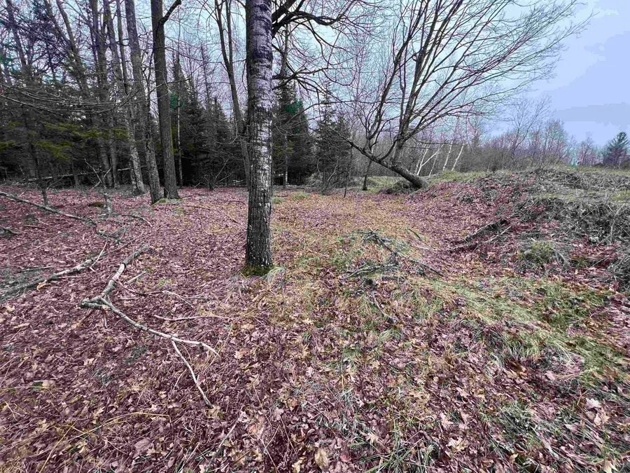 Nejedlo Road #6, Wausaukee, WI 54177 - #2