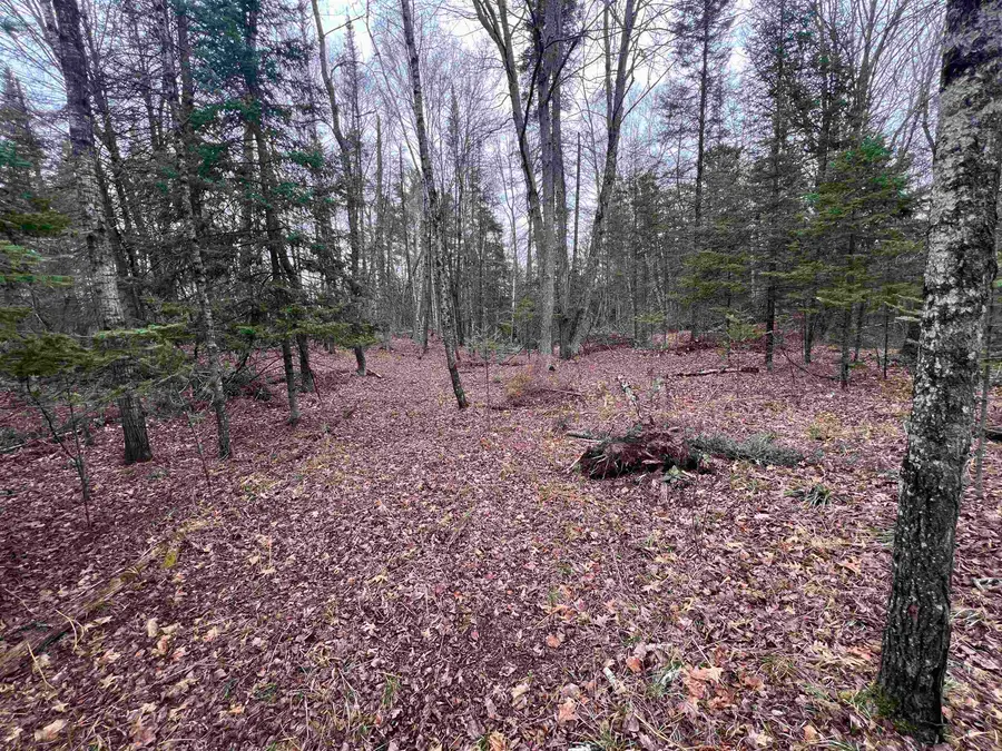 Nejedlo Road #6, Wausaukee, WI 54177 - #3