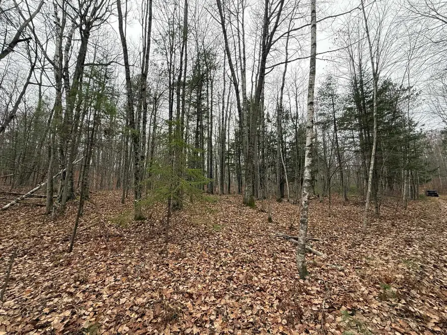 Roush Road, Wausaukee, WI 54177 - #2