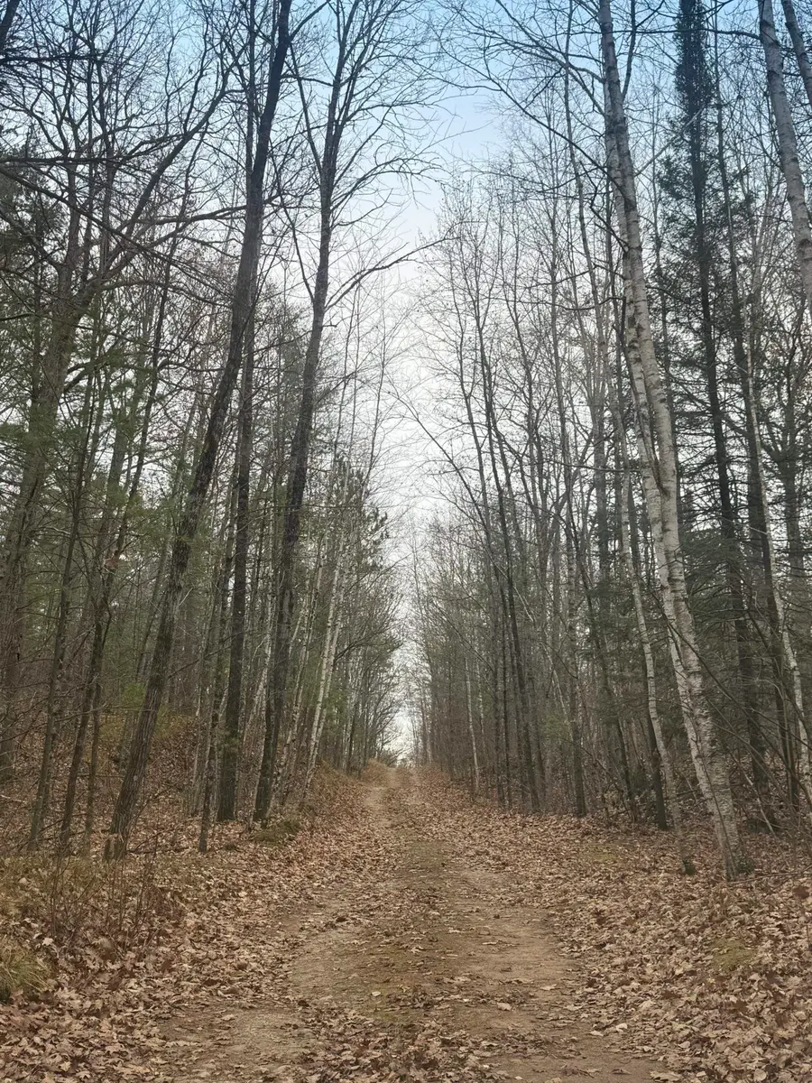 Roush Road, Wausaukee, WI 54177 - #3