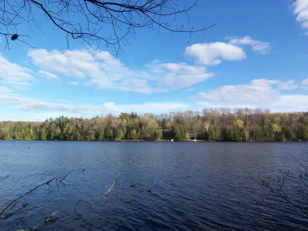 Machickanee Lane, LENA, WI 54139-9147