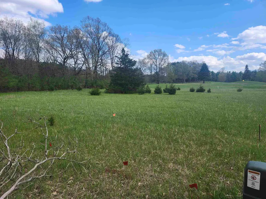 Cree Avenue, Wautoma, WI 54982 - #3