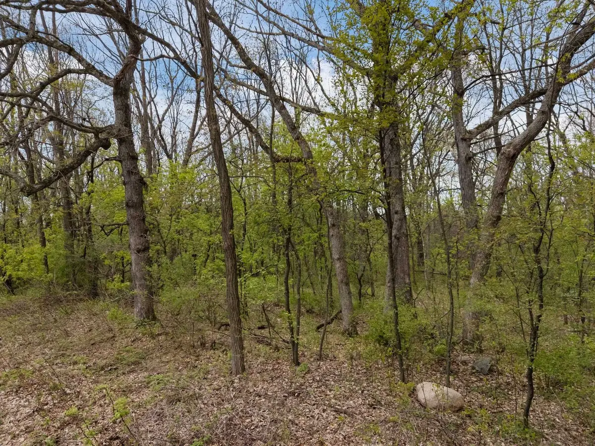 Morey Drive #1, Waupaca, WI 54981 - #1