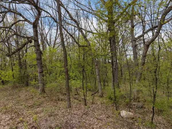 Morey Drive #1, WAUPACA, WI 54981