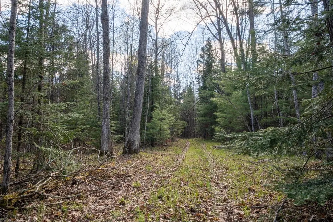 County Road X, Crivitz, WI 54114 - #1