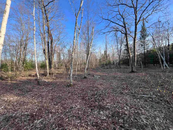 Nejedlo Road #1, WAUSAUKEE, WI 54177
