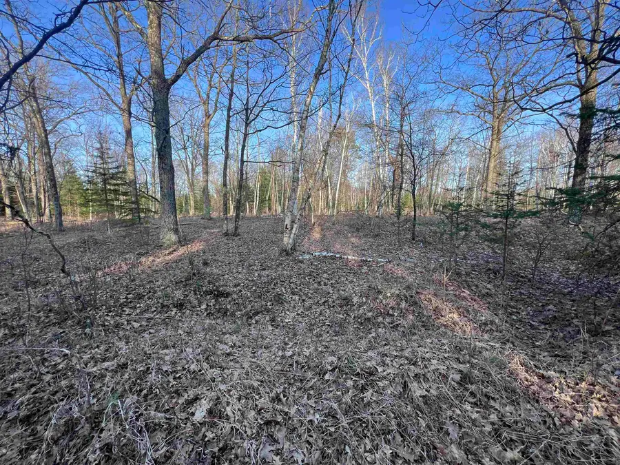Nejedlo Road #1, Wausaukee, WI 54177 - #2
