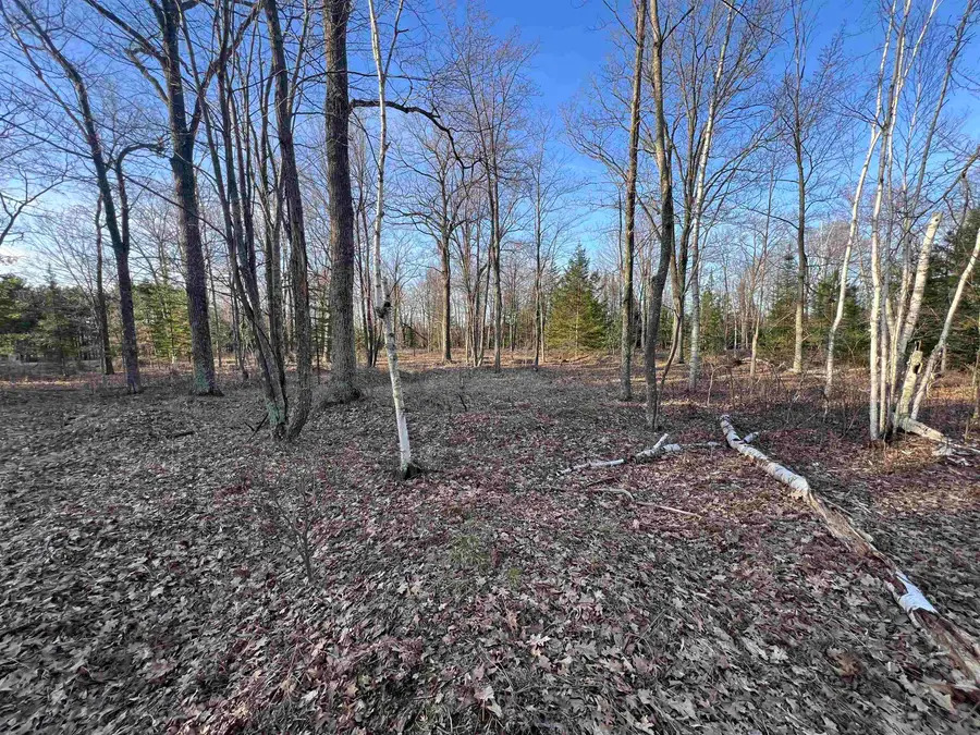 Nejedlo Road #1, Wausaukee, WI 54177 - #3