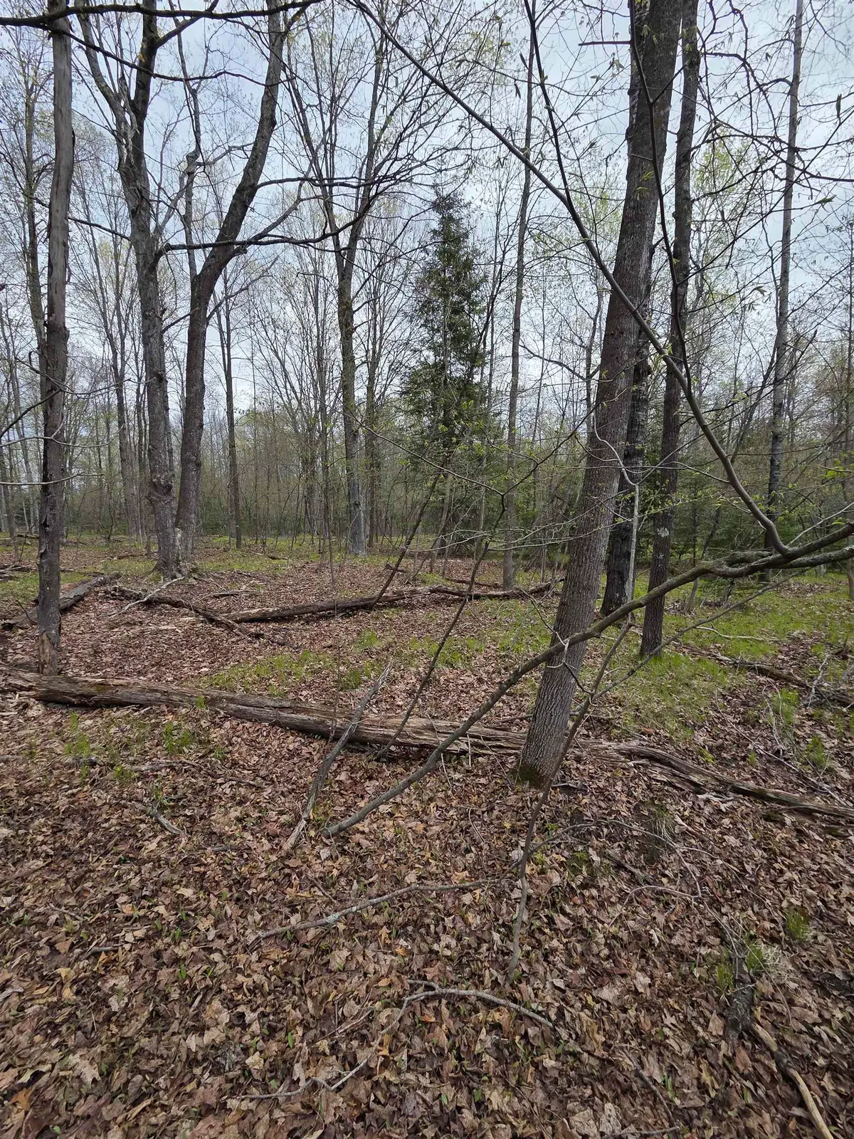 Chapin Road, Wausaukee, WI 54177 - #1