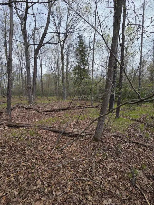 Chapin Road, WAUSAUKEE, WI 54177