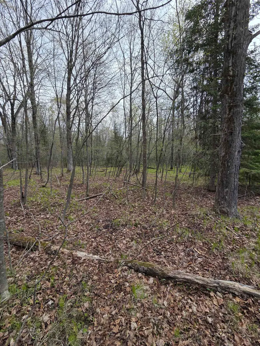 Chapin Road, Wausaukee, WI 54177 - #2